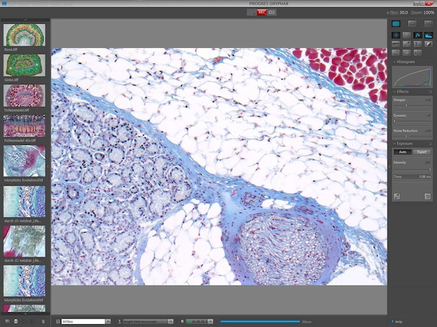Bildaufnahme-Software PROGRES GRYPHAX®