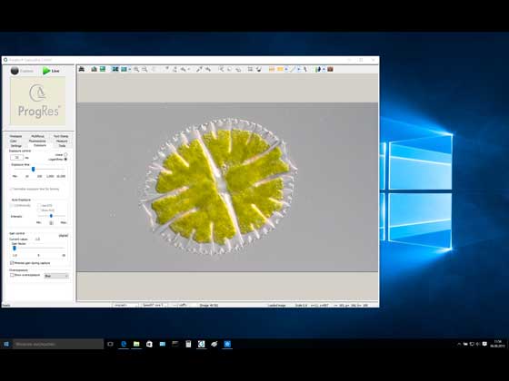 Windows 10 Support für alle ProgRes Kameras Windows 10 Support für alle ProgRes Kameras