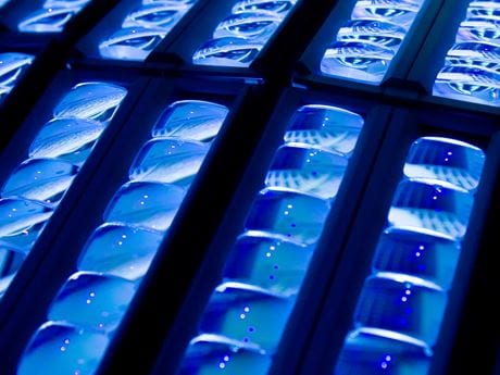 Optical coatings for polymers