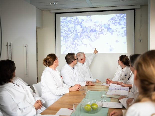 Eine Gruppe von Wissenschaftlern diskutiert anhand von Bildern über eine Diagnose