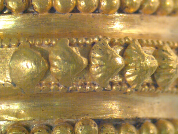Mikroskop-Bild eines goldenen Siegelrings: Reihe von Muscheln